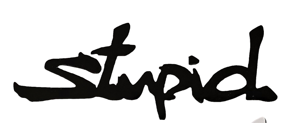 "Stupid" Vinyl Decal Sticker (New Colors!)