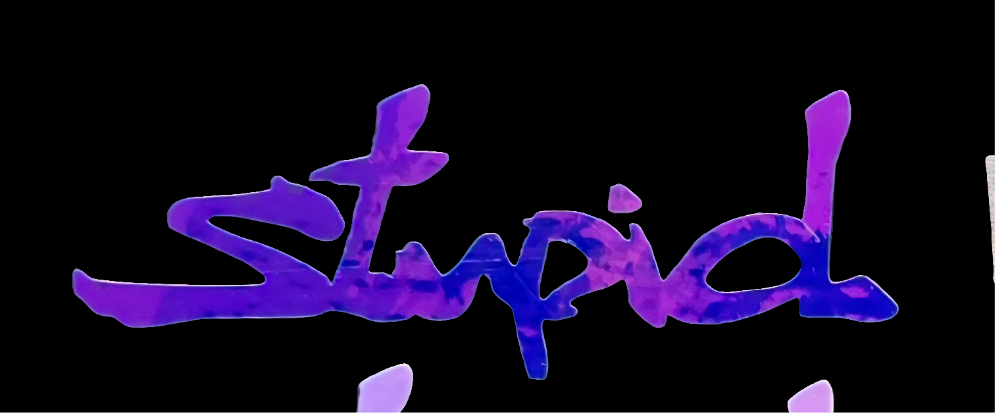"Stupid" Vinyl Decal Sticker (New Colors!)