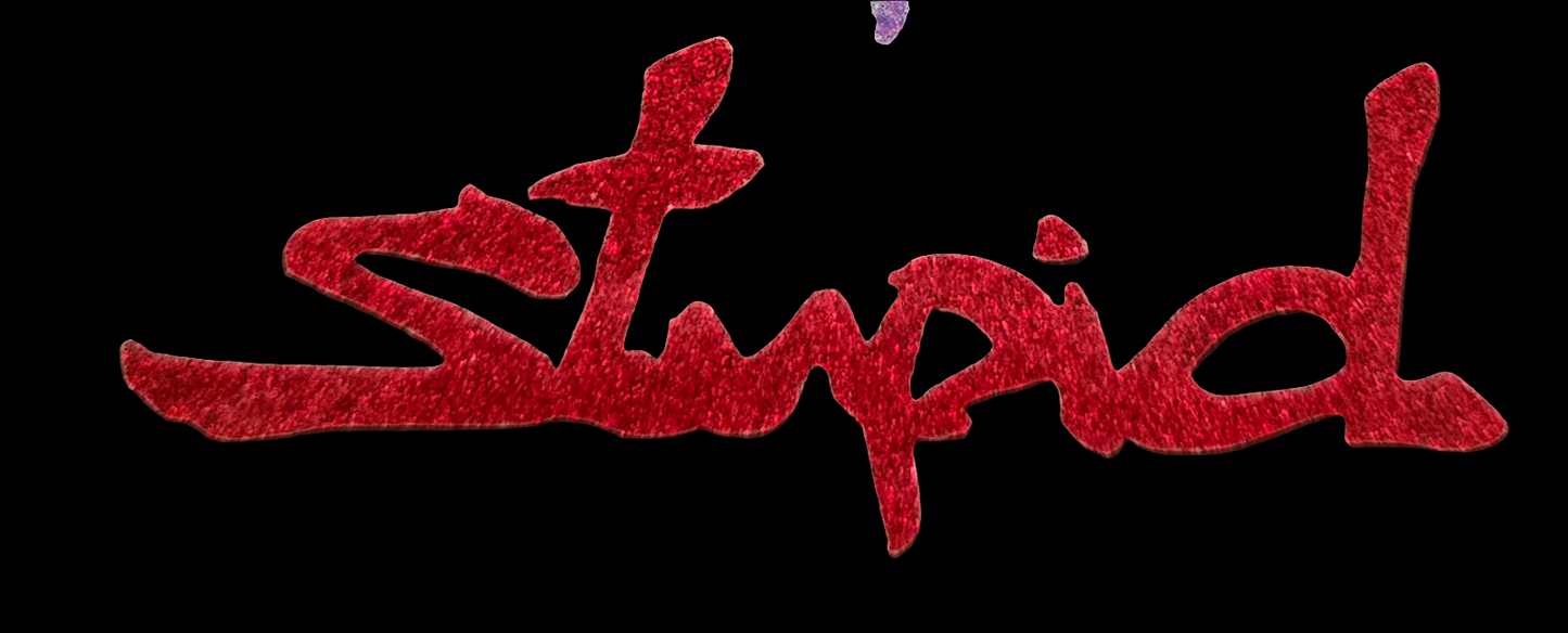 "Stupid" Vinyl Decal Sticker (New Colors!)