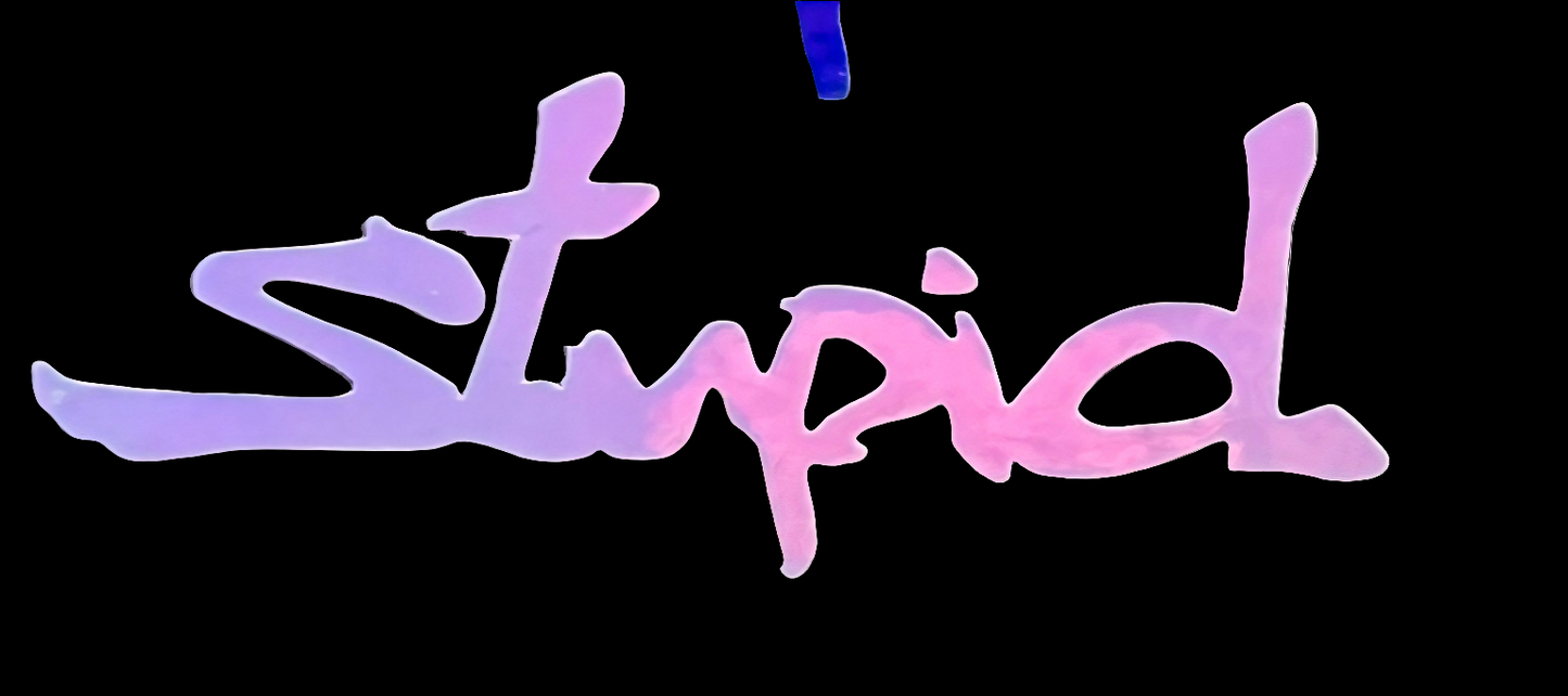"Stupid" Vinyl Decal Sticker (New Colors!)
