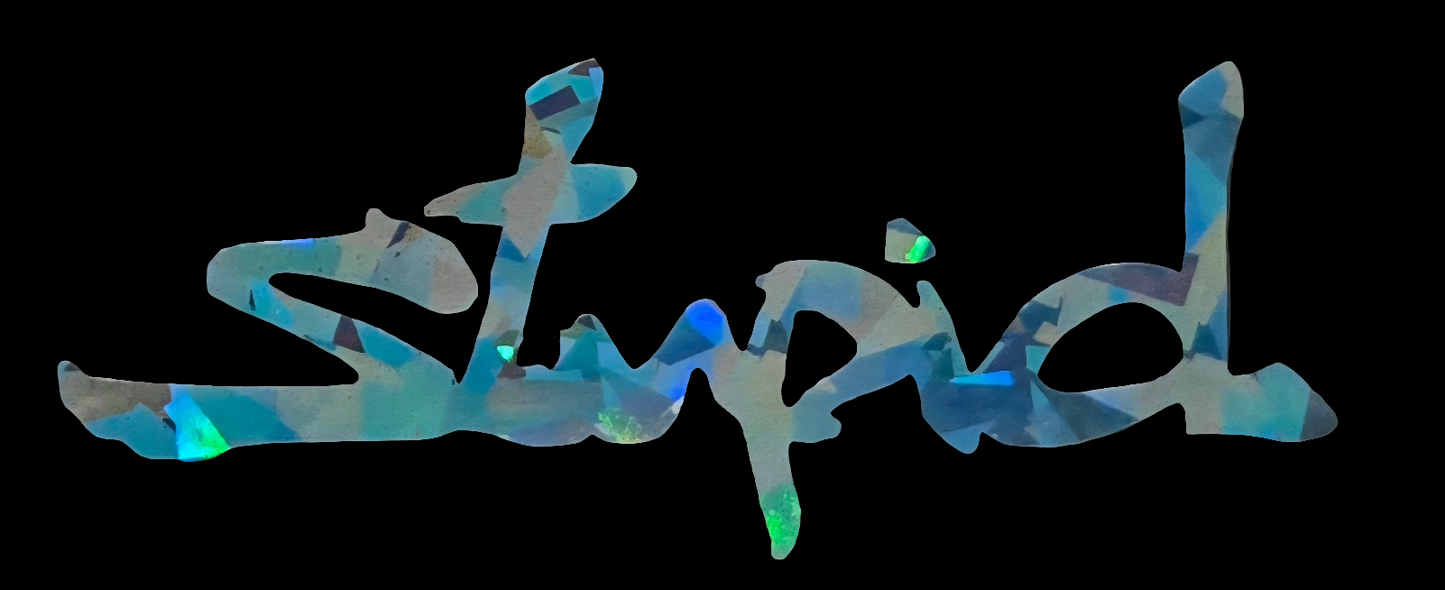 "Stupid" Vinyl Decal Sticker (New Colors!)