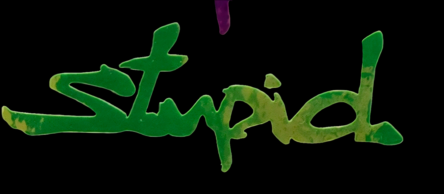 "Stupid" Vinyl Decal Sticker (New Colors!)